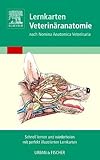 Lernkarten Veterinäranatomie/Veterinary Anatomy Flash Cards livre