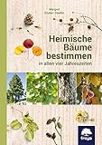 Heimische Bäume bestimmen: in allen vier Jahreszeiten livre