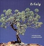 Erfolg (Inspiration und Motivation) livre