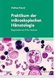 Praktikum der mikroskopischen Hämatologie livre