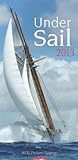 Under Sail 2013 livre