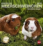 Meerschweinchen Postkartenkalender - Kalender 2018 livre
