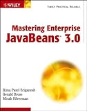 Mastering Enterprise JavaBeans 3.0 livre