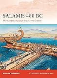 Salamis 480 BC livre