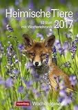 Heimische Tiere - Kalender 2017: Wochenplaner, 53 Blatt mit Wochenchronik livre