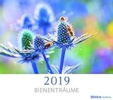 Bienenträume 2019: Fotokalender Deutsches Bienen-Journal livre