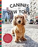 Canines of New York livre