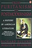 From Puritanism to Postmodernism: A History of American Literature livre