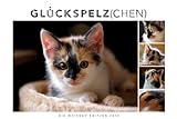 Whiskas Katzenkalender 2014: Mit Katzengeschichten livre