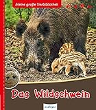 Meine große Tierbibliothek: Das Wildschwein livre
