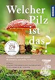 Welcher Pilz ist das?: Extra. Pilze und ihre Baumpartner livre