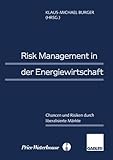 Risk Management in der Energiewirtschaft: Chancen und Risiken durch liberalisierte Märkte (German E livre