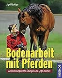 Bodenarbeit mit Pferden: Abwechslungsreiche Übungen, die Spaß machen livre