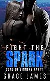 Fight the Spark: Sons of Sinners Part 1 (A Rock Star Romance) (English Edition) livre