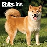 Shiba Inu 2019 - 18-Monatskalender mit freier DogDays-App (Wall-Kalender) livre