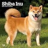 Shiba Inu 2019 - 18-Monatskalender mit freier DogDays-App (Wall-Kalender) livre