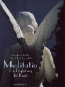 Meditatio: Die Begleitung der Engel livre