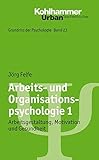 Grundriss der Psychologie: Arbeits- und Organisationspsychologie 1: Arbeitsgestaltung, Motivation un livre