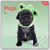 Luv Pugs 2016 - Möpse - 18-Monatskalender mit freier DogDays-App: Original Myrna-Kalender [Mehrspra livre