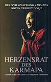 Herzensrat des Karmapa: Erkenntnis und Weisheit der lebenden Buddhas livre