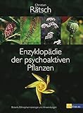 Enzyklopädie der psychoaktiven Pflanzen: Botanik, Ethnopharmakologie und Anwendungen livre