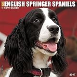 Just English Springer Spaniels 2017 Calendar livre