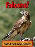 Falcons! Learn About Falcons and Enjoy Colorful Pictures - Look and Learn! (50+ Photos of Falcons) ( livre