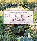 Die richtigen Pflanzen für Schattenplätze im Garten: vielfältig, bewährt, einfach schön livre