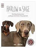 Harlow & Sage: Die Geschichte einer außergewöhnlichen Freundschaft livre