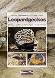 Leopardgeckos: Pflege, Zucht, Erkrankungen, Farbvarianten livre