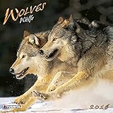 Wolves 2016: Kalender 2016 (What a Wonderful World) livre