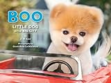 Boo: Little Dog in the Big City (English Edition) livre