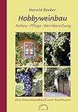 Hobbyweinbau - Anbau, Pflege, Weinbereitung: Das Praxishandbuch vom Fachmann livre