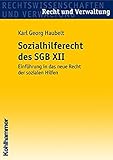 Das Sozialhilferecht des SGB XII: Einführung in das neue Recht der sozialen Hilfen (Recht und Verwa livre