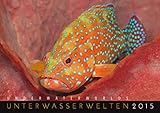 Unterwasserwelten 2015: Underwater Worlds 2015 livre