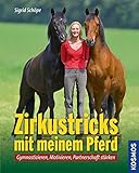 Zirkustricks mit meinem Pferd: Gymnastizieren, Motivieren, Partnerschaft stärken livre