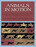 Animals in Motion livre