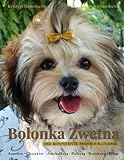 Bolonka Zwetna: Der kompetente Premium-Ratgeber livre