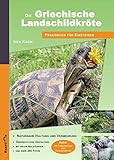 Die Griechische Landschildkröte: Praxisbuch für Einsteiger - Naturnahe Haltung und Vermehrung livre