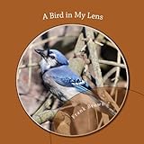 A Bird in My Lens (English Edition) livre