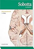 Sobotta Lernkarten Neuroanatomie livre