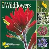 Wildflowers 2014 - Wildblumen: Original BrownTrout-Kalender [Mehrsprachig] [Kalender] livre