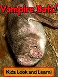 Vampire Bats! Learn About Vampire Bats and Enjoy Colorful Pictures - Look and Learn! (50+ Photos of livre