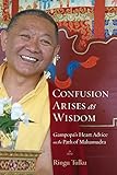 Confusion Arises as Wisdom: Gampopa's Heart Advice on the Path of Mahamudra livre