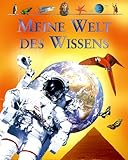 Meine Welt des Wissens livre