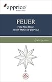 FEUER - Feng-Shui-Basics - aus der Praxis für die Praxis livre