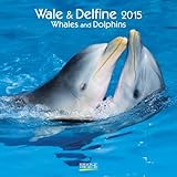 Wale und Delfine 2015: Broschürenkalender mit Ferienterminen livre