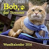 Bob, der Streuner - Wandkalender: . (James Bowen Bücher, Band 1) livre