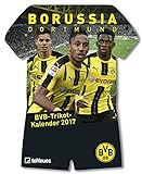 BVB Kalender 2017 - Borussia Dortmund Kalender, BVB Kalender, BVB 09, Trikotkalender, Fußballkalend livre