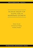 Blow-up Theory for Elliptic PDEs in Riemannian Geometry (MN-45) (Mathematical Notes) (English Editio livre